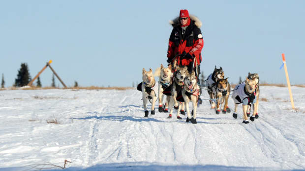 iditarod-zirkle-lead.jpg